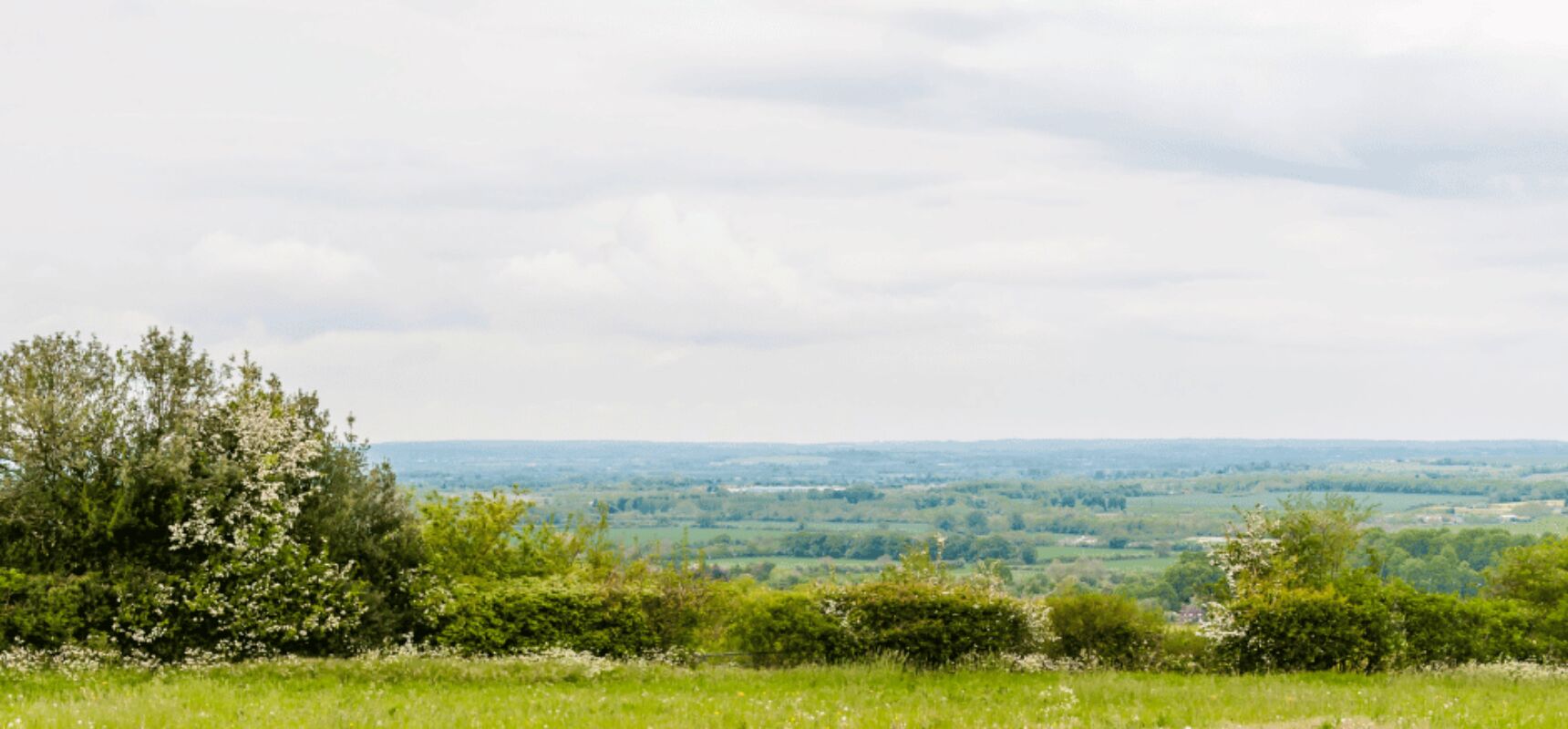 View of countryside in Cramlington