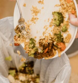 Food waste tv and film