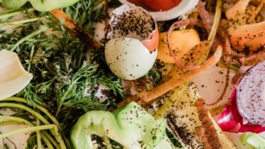 What happens to your food waste JB Recycling