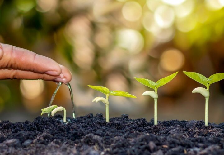 Recycling and the environment, reduce reuse recycle